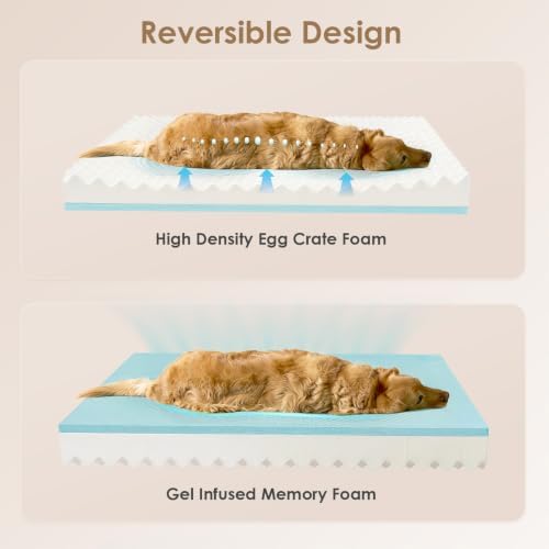 EHEYCIGA Large Dog Bed Memory Foam