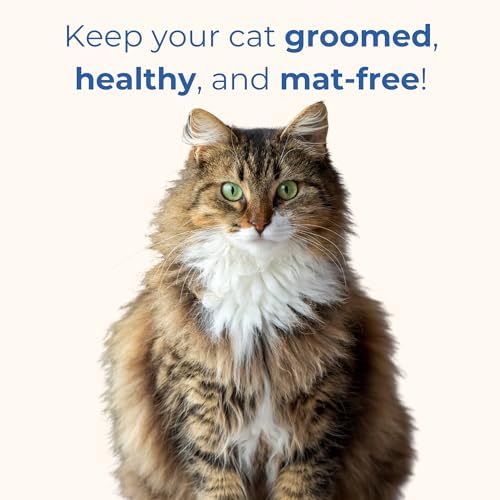 Pet Grooming Scissors Set