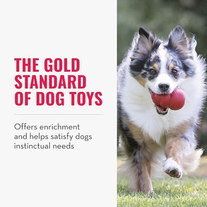 KONG Classic Stuffable Dog Toy, Natural Rubber,