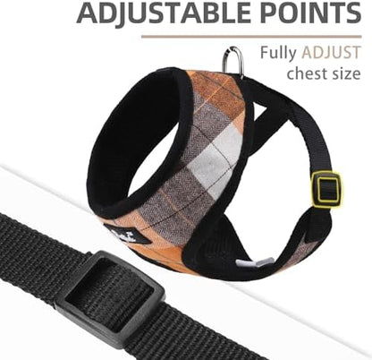 PUPTECK Small Dog Harness and Leash Set No Pull