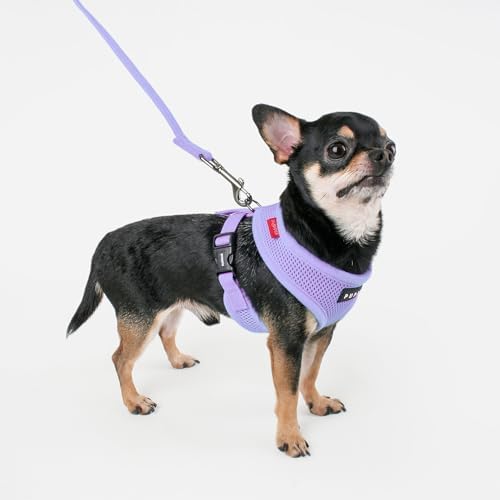 Puppia Soft Dog Harness No Choke Over-The-Head Triple Layered Breathable Mesh