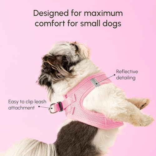 Downtown Pet Supply Step-in Dog Harness – No Pull, Adjustable Padded Mesh