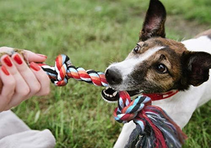 Fida Dog Rope Toys, 4 Pack Cotton Puppy Teething and Chew Toys