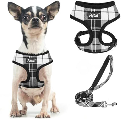 PUPTECK Small Dog Harness and Leash Set No Pull