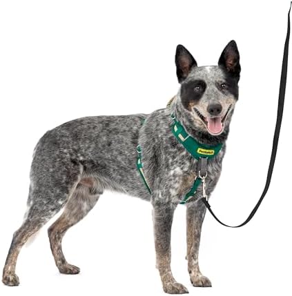 PetSafe Easy Walk Comfort No Pull Dog Harness