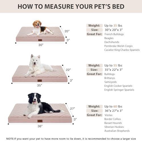 WNPETHOME Orthopedic Waterproof Dog Bed Medium