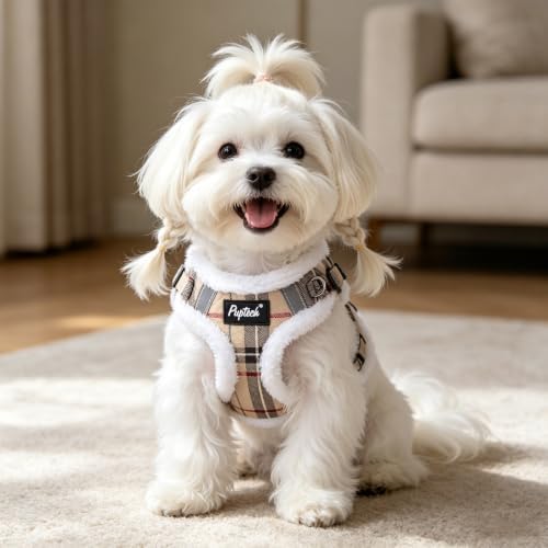 PUPTECK Dog Harness and Leash Set Small Sized, Step in No Pull Adjustable Puppy