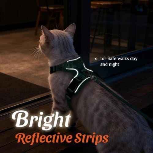 Dooradar Cat Harness and Leash Set, Adjustable and Escape Proof