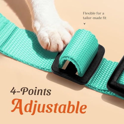 Dooradar Cat Harness and Leash Set, Adjustable and Escape Proof