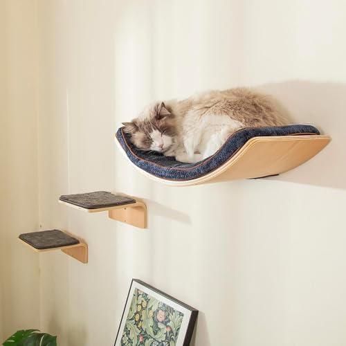 LIORCE Cat Wall Shelf with Two Steps