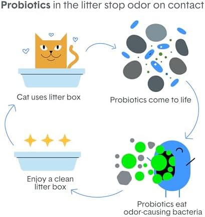 Boxie Probiotic Natural Lightweight Cat Litter 40+ Day Odor Control 11.5 lb