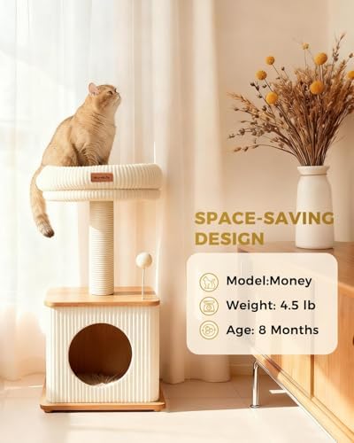 Small Cat Tree for Indoor Kittens