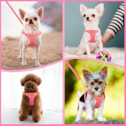 SlowTon No Pull Dog Harness