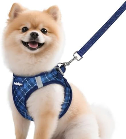 rabbitgoo Dog Harness Small Sized and Leash Set, Step in Soft Vest