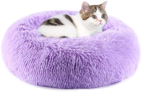 Purrfect Cat Beds