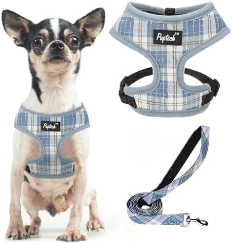 PUPTECK Small Dog Harness and Leash Set No Pull