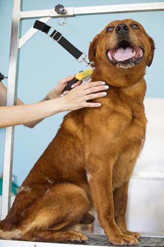 Pet Dog Grooming Loops Adjustable Nylon Restraint Loop Table Arm Accessories