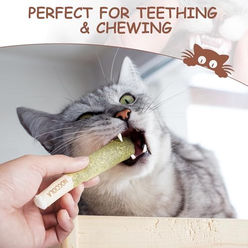 Nocciola 3 Pack Catnip Toys for Cats, Funny Cat Toys Filled