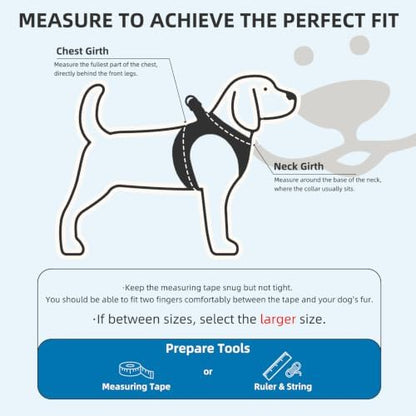 PUPTECK Dog Harness, Collar and Leash Set No Pull