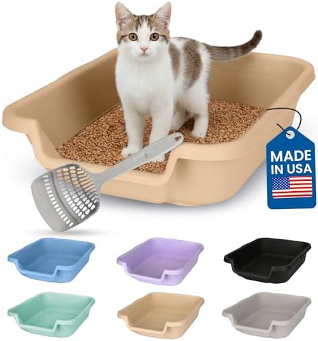 KittyGoHere Senior Cat Litter Box Small