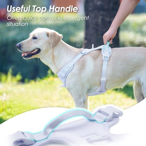 Sunraymascota No Pull Dog Harness