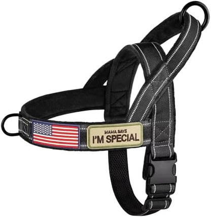 Forestpaw No Pull Dog Harness