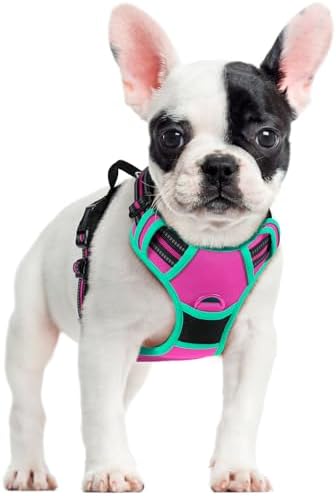rabbitgoo Dog Harness, No Pull for Small Dogs