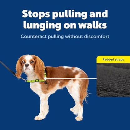 PetSafe Deluxe Easy Walk No Pull Dog Harness, Apple Green