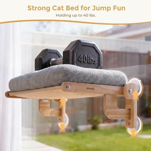 Pecute Cat Window Hammock Foldable, Cat Bed