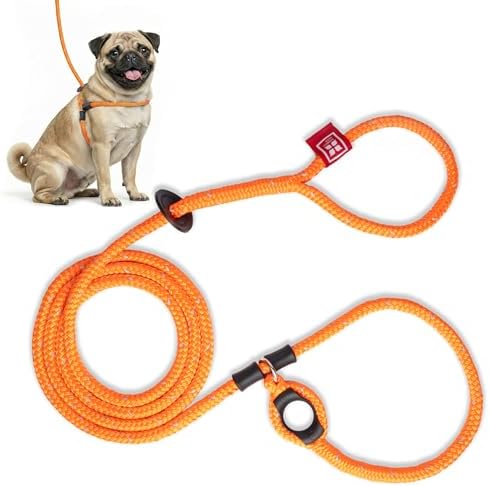 Harness Lead No Pull Dog Harness and Leash Set, Anti Pull Dog Harness