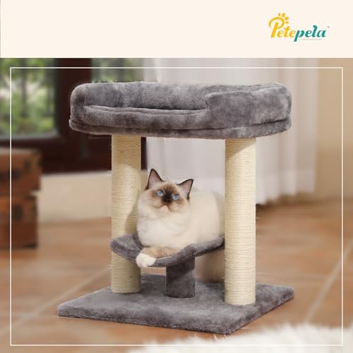 PETEPELA 19" Cat Scratching Post