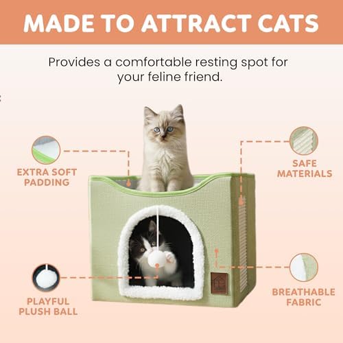 EverBrightly Cat Condo Bed | Foldable Pet Cave