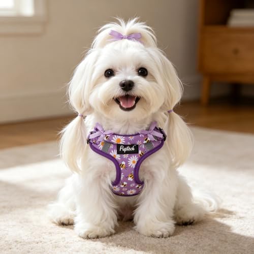 PUPTECK Dog Harness and Leash Set Small Sized, Step in No Pull Adjustable Puppy