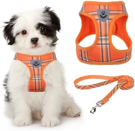 KOOLTAIL Thanksgiving Dog Harness