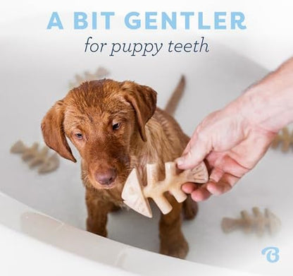 Benebone Puppy Fishbone Dog Chew Toys, Softer