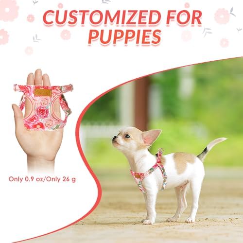 SlowTon No Pull Dog Harness
