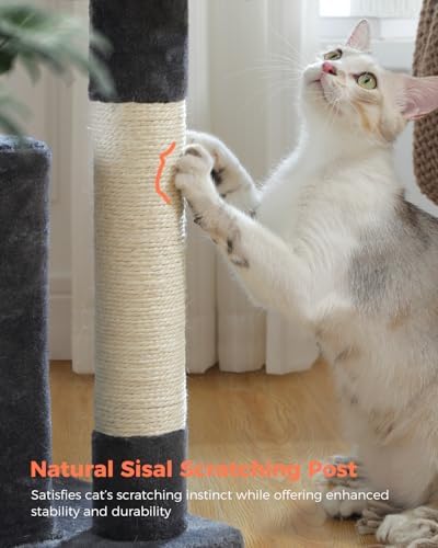 XL Cat Tree 44" Cat Tower for Large Cats 20 lbs, 2 Spacious Caves