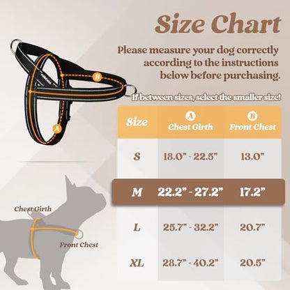 rabbitgoo Dog Harness No Pull, Quick Fit