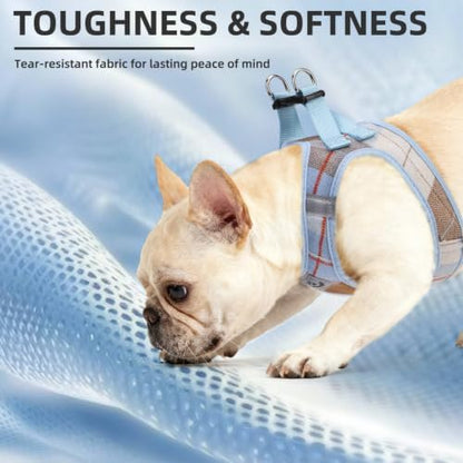 PUPTECK Dog Harness, Collar and Leash Set No Pull