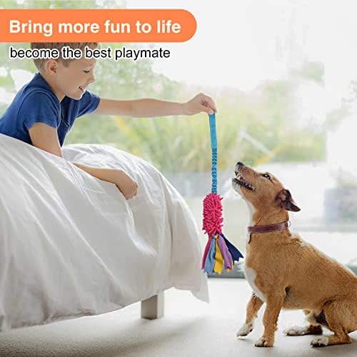wodoca Dog Tug Toy