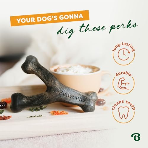Benebone Wishbone Chew Toy for Aggressive Chewers, Pumpkin Spice