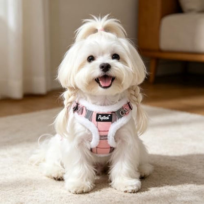 PUPTECK Dog Harness and Leash Set Small Sized, Step in No Pull Adjustable Puppy