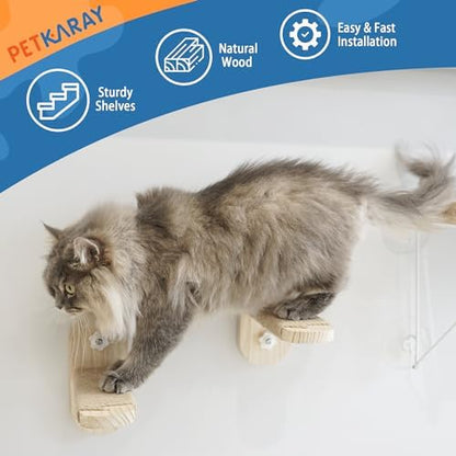 PETKARAY Cat Window Perch, Foldable Cat Hammock