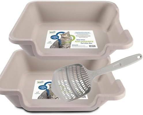 KittyGoHere 2.0 Easy Entry Cat Litter Box, 2 Pack Large Misty Gray