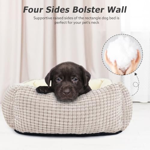 MIXJOY X-Large Dog Bed for Large, Small Dogs