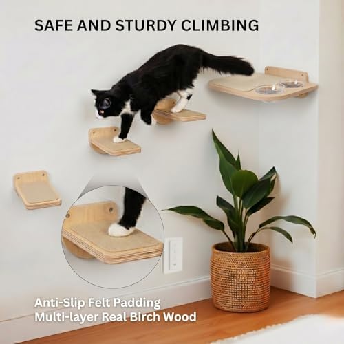 INICIO Cat Shelves