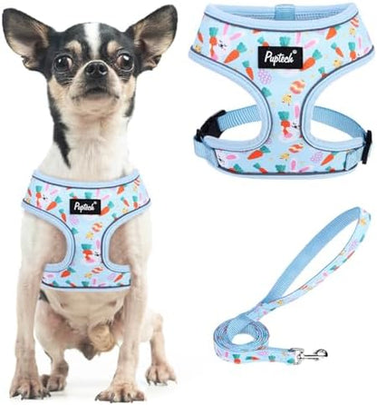PUPTECK Small Dog Harness and Leash Set No Pull