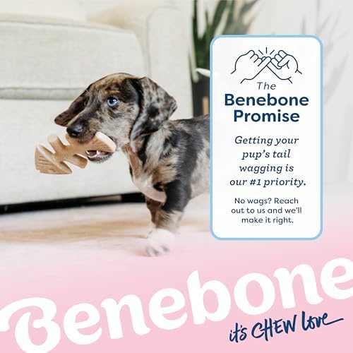 Benebone Puppy Fishbone Dog Chew Toys, Softer