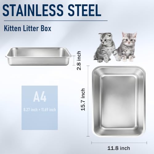 Small Stainless Steel Kitten Litter Box, Low Entry, 15.7 x 11.8 x 2.8 in