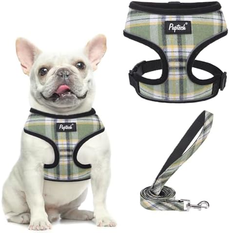 PUPTECK Small Dog Harness and Leash Set No Pull